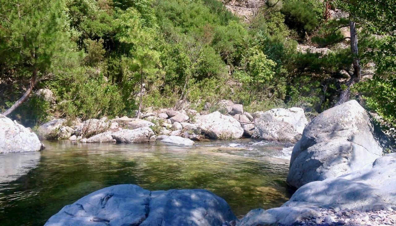 Pietranera Studio Proche De La Mer A 2Km De Bastia Ville-di-Pietrabugno Kültér fotó